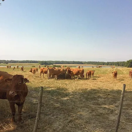 La Chaume Prázdninový dům Bonneuil-sur-Marne